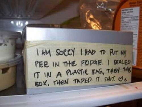 roommate funny - Tam Soccy I Had To Put my Pee In The Fridge. Sealed It In A Plastic Bag, Then 148 Box, Then Tapep T Shut. Je