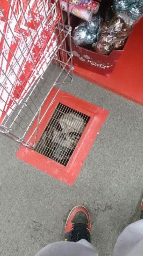 18 Creepy Pictures Will Haunt Your Dreams Forever