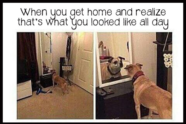 you go home and see how ugly you looked all day - When you get home and realize that's what you looked all day