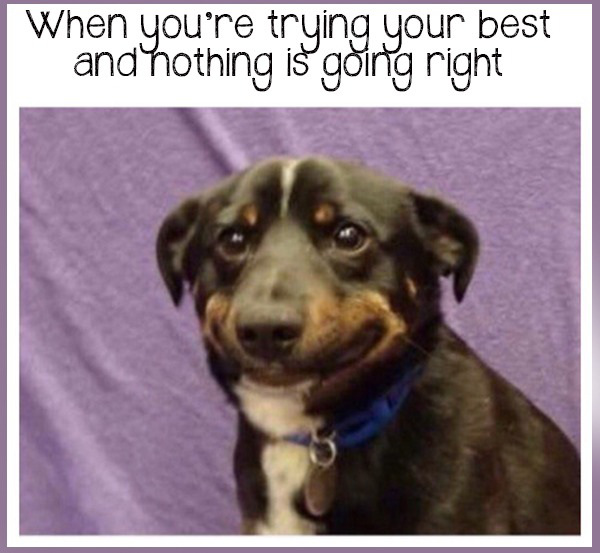 anxiety meme funny - When you're trying your best and nothing is going right