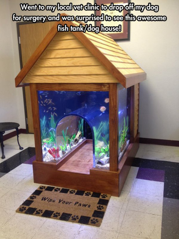 coolest fish tanks in the world - Went to my local vet clinic to drop off my dog for surgery and was surprised to see this awesome fish tankdog house! Wipe Your Paws