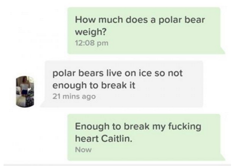 paper - How much does a polar bear weigh? polar bears live on ice so not enough to break it 21 mins ago Enough to break my fucking heart Caitlin. Now