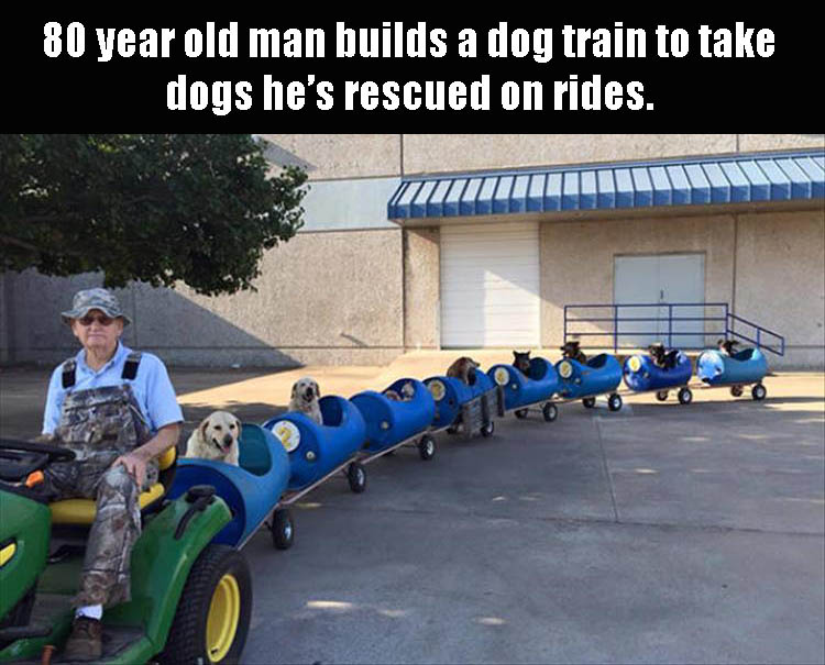 man who built train for dogs - 80 year old man builds a dog train to take dogs he's rescued on rides.