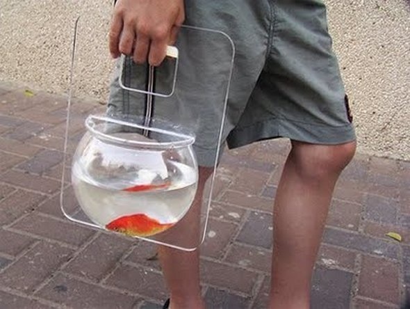 Now you can take your goldfish everywhere with you!
