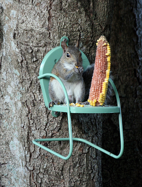 A miniature retro chair you can attach to trees for squirrels to lounge on.