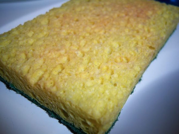 Sponges are full of holes and crevices that food gets nice a stuck in. It’s recommended that you soak your sponges in bleach once per week.