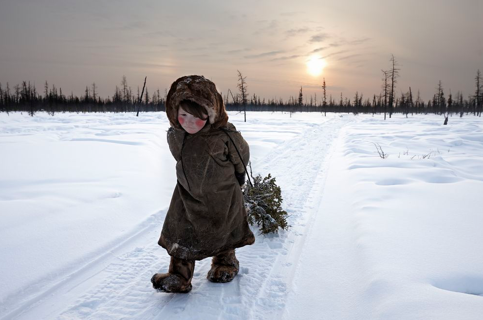 A Nenets child helping with the chores by gathering firewood, northern Siberia by Alessandra Meniconzi