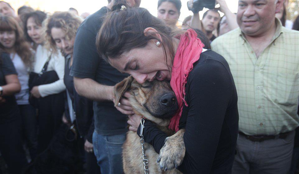 Dog reunites with its owner after a flash flood in La Plata, Argentina.