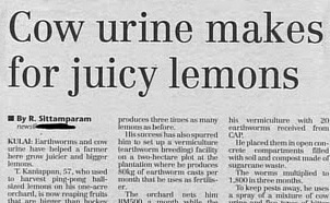 32 Hilariously Inappropriate Newspaper Headlines