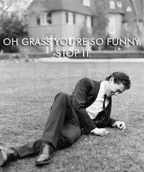 oh grass you re so funny - Oh Grass You'Re So Funny. Stop It.