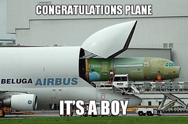 memes plane - Congratulations Plane Beluga Airbus L. It'S A Boy At