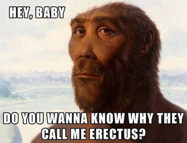 do you wanna know why they call me erectus - Hey, Baby Do You Wanna Know Why They Call Me Erectus?
