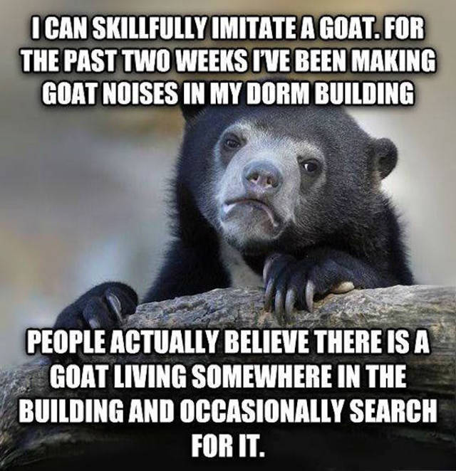 reddit confession bear - I Can Skillfully Imitate A Goat.For The Past Two Weeks I'Ve Been Making Goat Noises In My Dorm Building People Actually Believe There Is A Goat Living Somewhere In The Building And Occasionally Search For It.