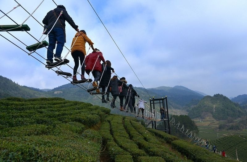 Take a walk down the Daredevil Aerial Walkway that hangs over a tea park in China.