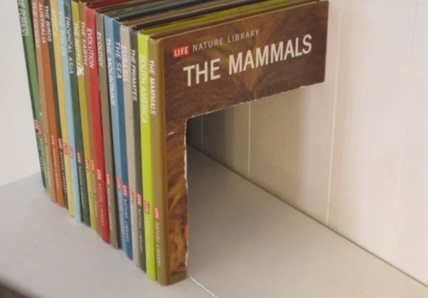 diy secret compartments - Life Nature Library The Mammals The Mammas South America The Sea . Bouton Indicalasia