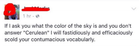 writing - 1 hr. If I ask you what the color of the sky is and you don't answer "Cerulean" I will fastidiously and efficaciously scold your contumacious vocabularly.