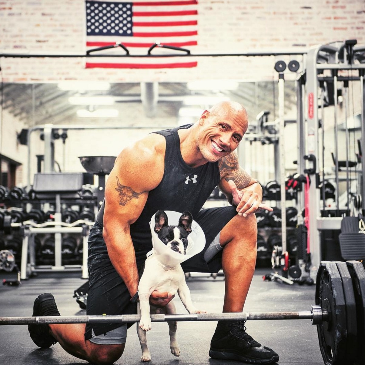Dwayne "The Rock" Johnson donated the $1,500 needed to save the life of a puppy named Dwayne "The Rock" Johnson.