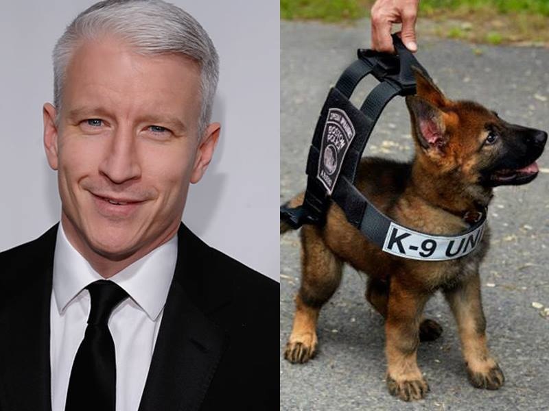 CNN host Anderson Cooper donated the money needed to outfit a K-9 unit at a Virginia police department with bulletproof vest. He did so after learning that one of their police dogs was killed.