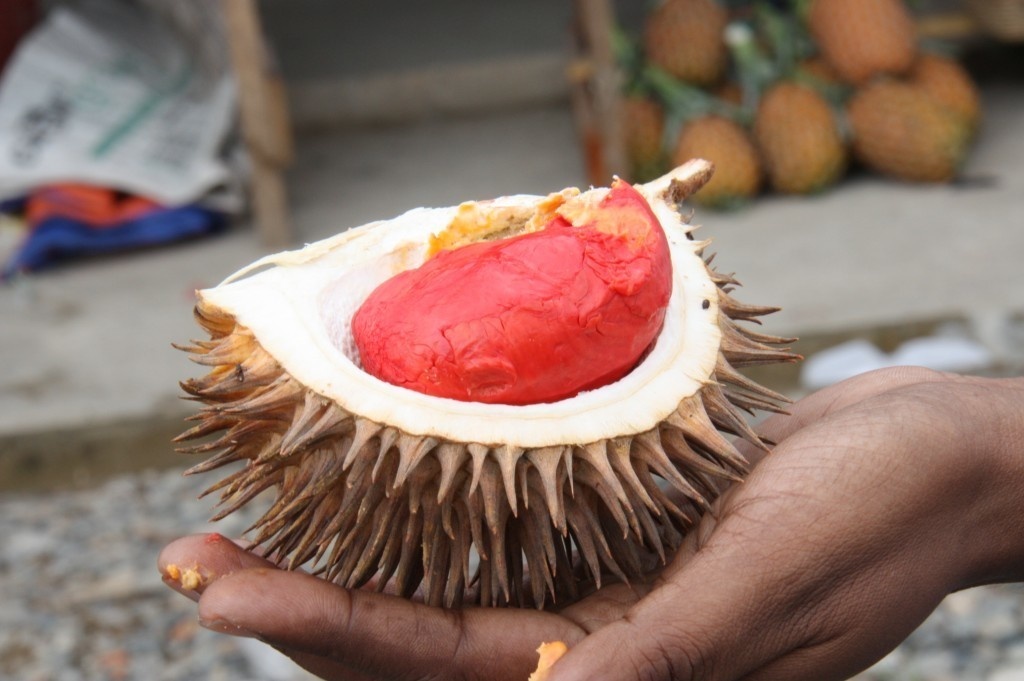 A flaming red durian.