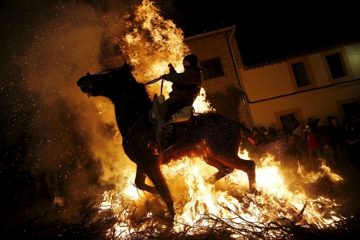 A man rides a horse through the flames during the "Luminarias" celebration on the eve of Saint Anthony's day, Spain's patron saint of animals, in the village of San Bartolome de Pinares, Spain.