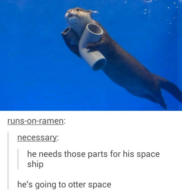 pun going to otter space - runsonramen necessary he needs those parts for his space ship he's going to otter space