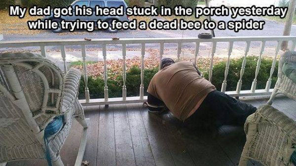 Man - My dad got his head stuck in the porch yesterday while trying to feed a dead bee to a spider