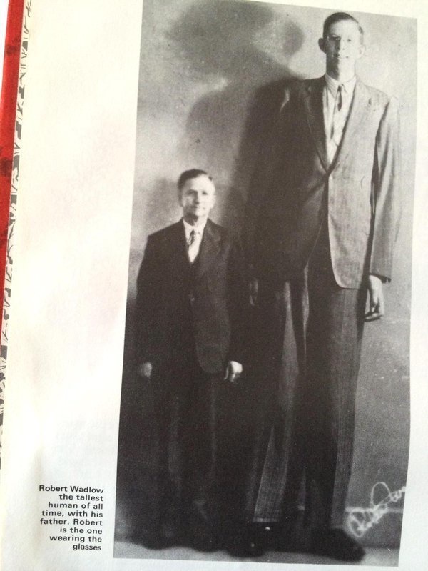 robert wadlow next to dad - Robert Wadlow the tallest human of all time, with his father. Robert is the one wearing the glasses