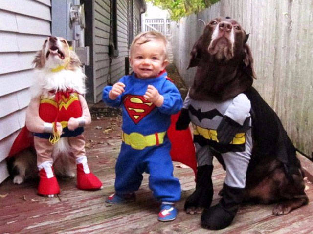 cool pic matching dog and kid halloween costumes
