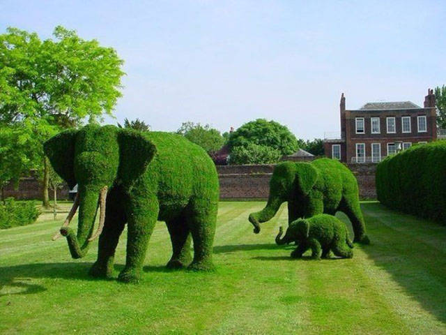 cool pic topiary art