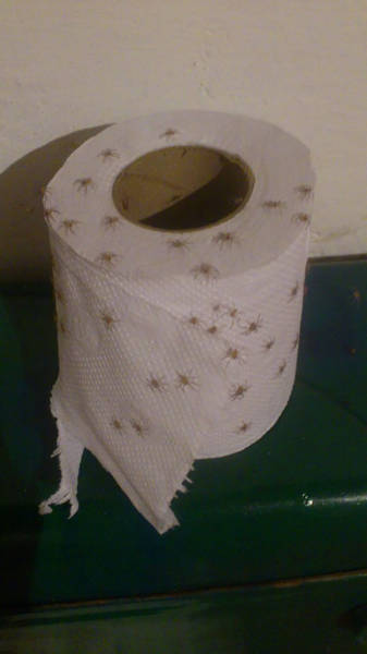 spiders on toilet paper