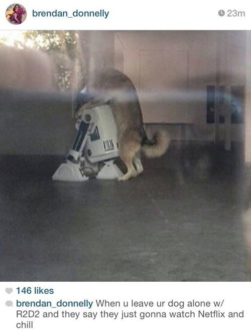 sick twisted funny memes - brendan_donnelly 23m 146 brendan_donnelly When u leave ur dog alone w R2D2 and they say they just gonna watch Netflix and chill