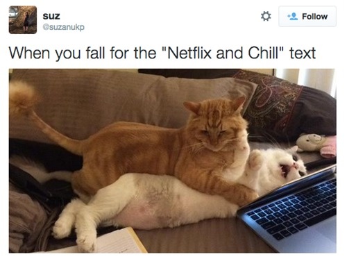 netflix and chill meme - suz suzanukp When you fall for the "Netflix and Chill" text