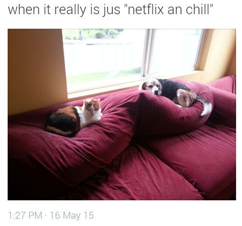couch - when it really is jus "netflix an chill" 16 May 15