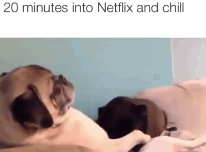 netflix and chill examples - 20 minutes into Netflix and chill