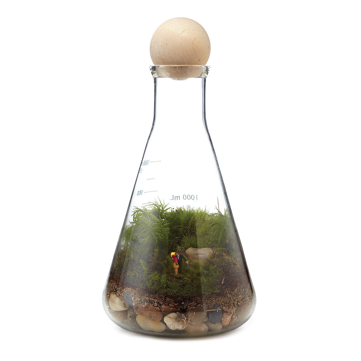 A hand-assembled We Have Chemistry Terrarium celebrates love in an adorable and quirky way.