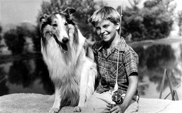 The first lead-out program was an episode of Lassie on CBS.