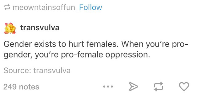 27 times social justice went too far