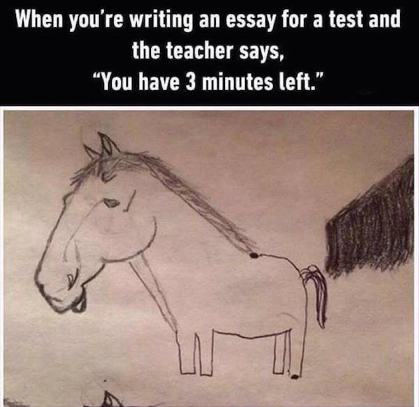 horse drawing meme got - When you're writing an essay for a test and the teacher says, "You have 3 minutes left."