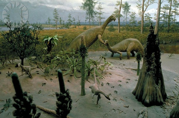 The first dinosaurs that appeared during the Triassic Period 230 million years ago were small and lightweight. Bigger dinosaurs such as Brachiosaurus and Triceratops appeared during the Jurassic and Cretaceous periods.