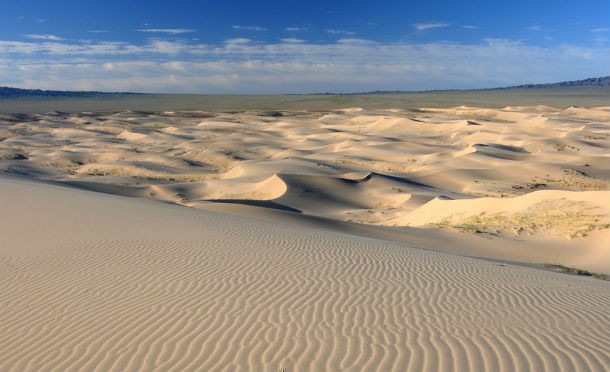 Explorer Roy Chapman Andrews found the first dinosaur nest known to science in 1923 in the Gobi Desert in Mongolia. Before he found the nest, scientists were unsure how dinosaurs were born.