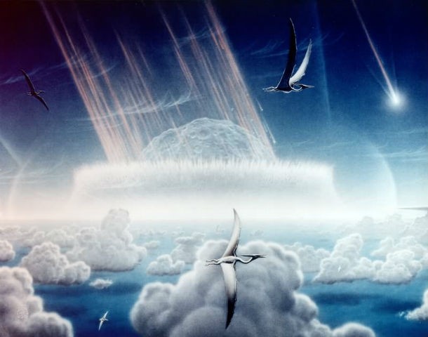 The mass extinction of the dinosaurs and other land animals that followed after the collision is known as the Cretaceous-Tertiary extinction event, or the K-T event. Scientists have various theories about the extinction with the most popular suggesting that small mammals ate dinosaur eggs until the population became unsustainable.