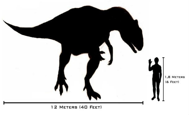 Contrary to popular belief, the majority of dinosaurs were usually human sized or smaller. Scientists assure us the only reason we have discovered huge bones is that those were just easier to be fossilized. Makes sense, no?