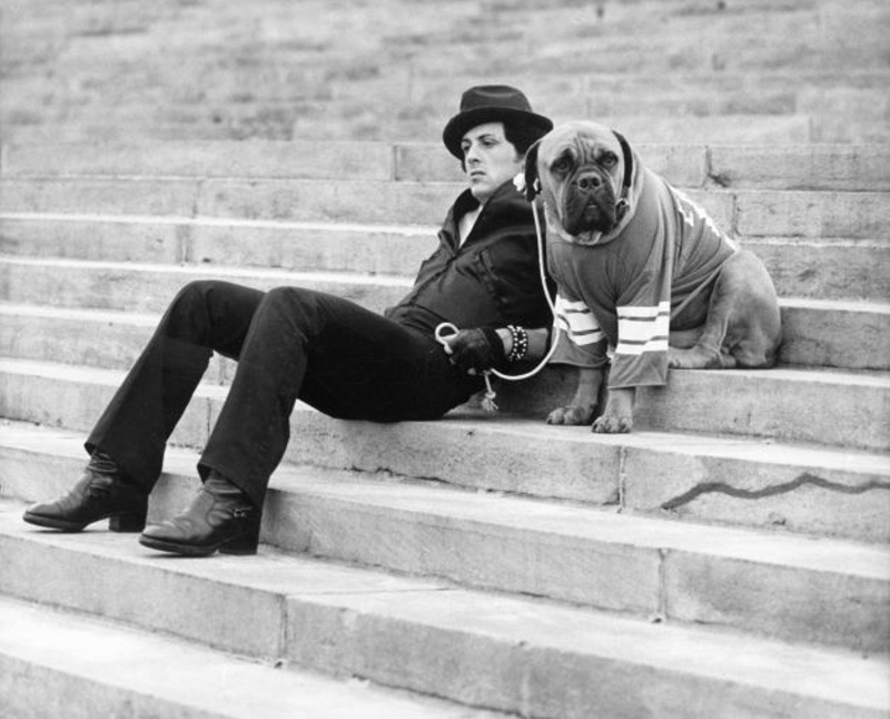 Sylvester Stallone was so poor, he had to sell his dog for $50. Then, a week later, he managed to sell the script for Rocky for $3,000. Naturally, the first thing he did was buy his dog back.