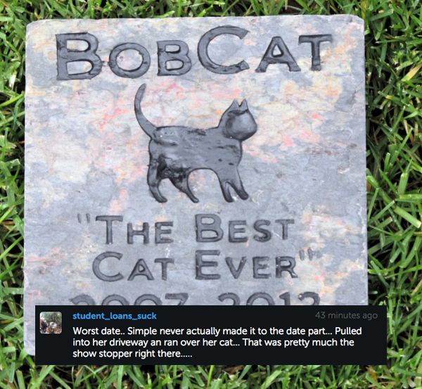 grass - Bobcat "The Best Cat Ever student_loans_suck 43 minutes ago Worst date.. Simple never actually made it to the date part... Pulled into her driveway an ran over her cat... That was pretty much the show stopper right thr.....