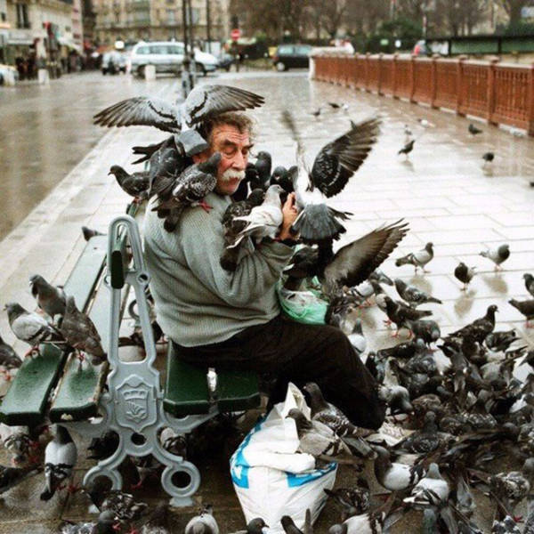 man covered in pigeons