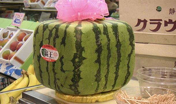 Farmers in Japan grow square watermelons so that they are easier to store.