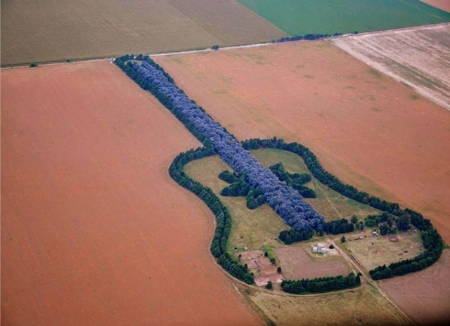 Pedro Ureta lost his wife to a brain aneurysm in 1977 when she was just 25. Now in his 70s, he continues maintaining a project he began many years ago: a guitar-shaped forest with over 7,000 cypress and eucalyptus trees. His wife loved guitars very much.