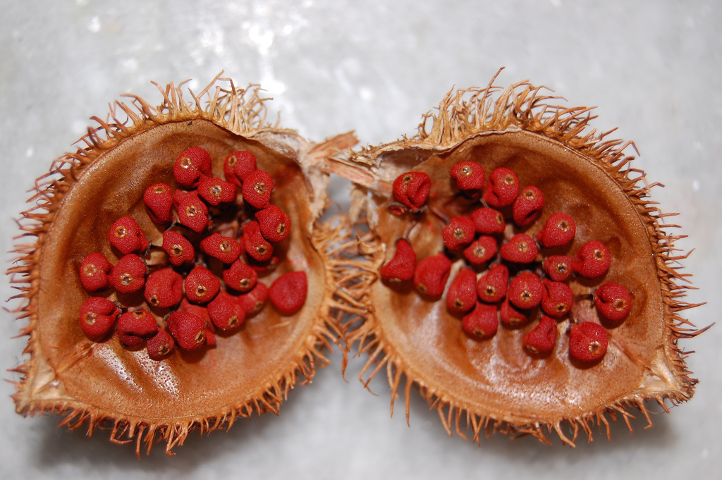 What are these strange looking things? They're urucum (bixa orellana) seeds, typically used to add a red-orange color to Brazilian dishes without changing the flavor.