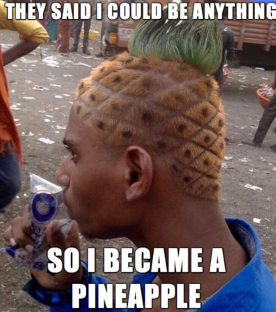pineapple on his head - They Said I Could Be Anything So I Became A Pineapple