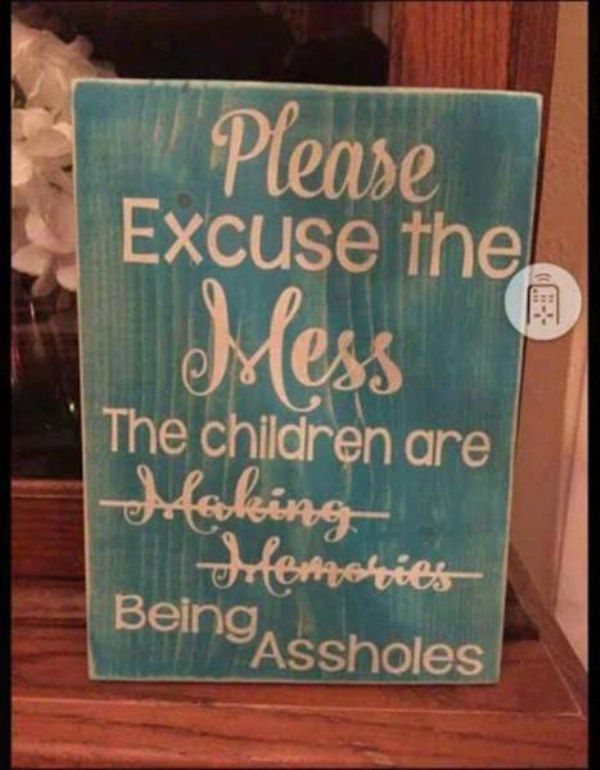 kid ruining things funny signs quotes - Please Excuse the Mess The children are Hooking Ifemories BeingAssholes